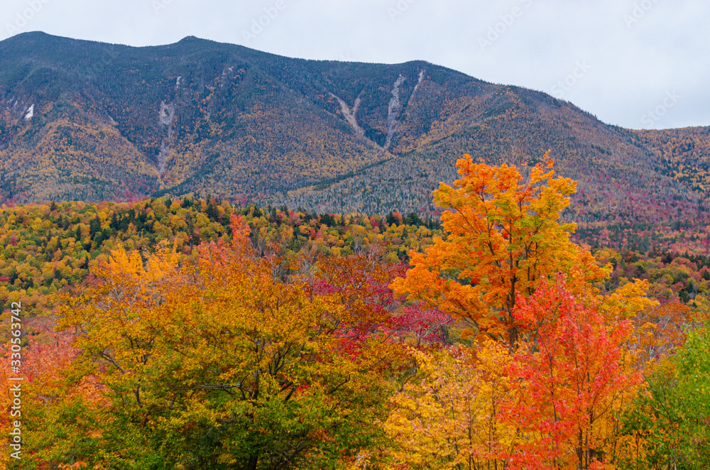 Beautiful fall colors seen from Kancamagus hwy in New Hampshire USA
