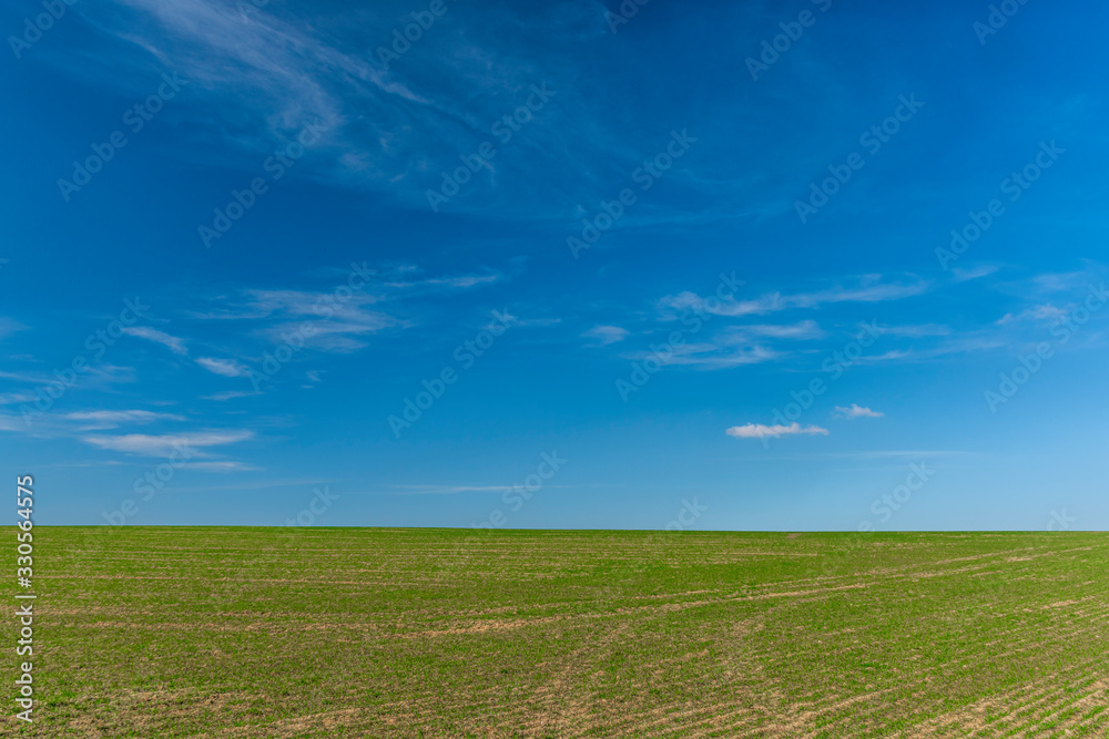 Fototapeta premium Blue sky with white clouds and green field
