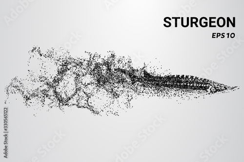 Sturgeon of the particles. Sturgeon consists of circles and dots. Sturgeon falls apart into molecules.