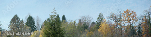 Treetops