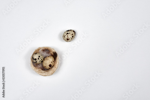 Quail eggs in a nest on a white wooden background. Easter concept. Place for an inscription. The basis for the postcard