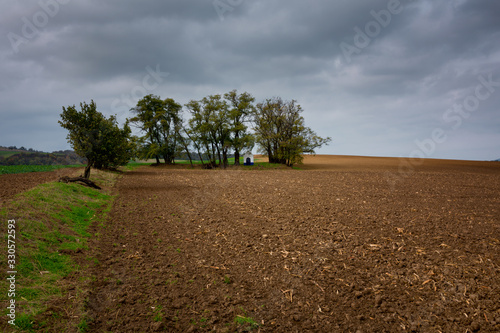 A shrine standing in a grove in the fields photo