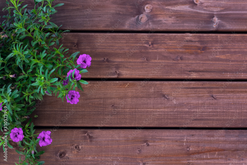 Background made of dark old-fashioned wood with small violet flowers and leaves. Unpainted blank background with horizontal stripes with copy space. Background made of dark old-fashioned wood with small violet flowers and leaves. Unpainted blank background with horizontal stripes with copy space.