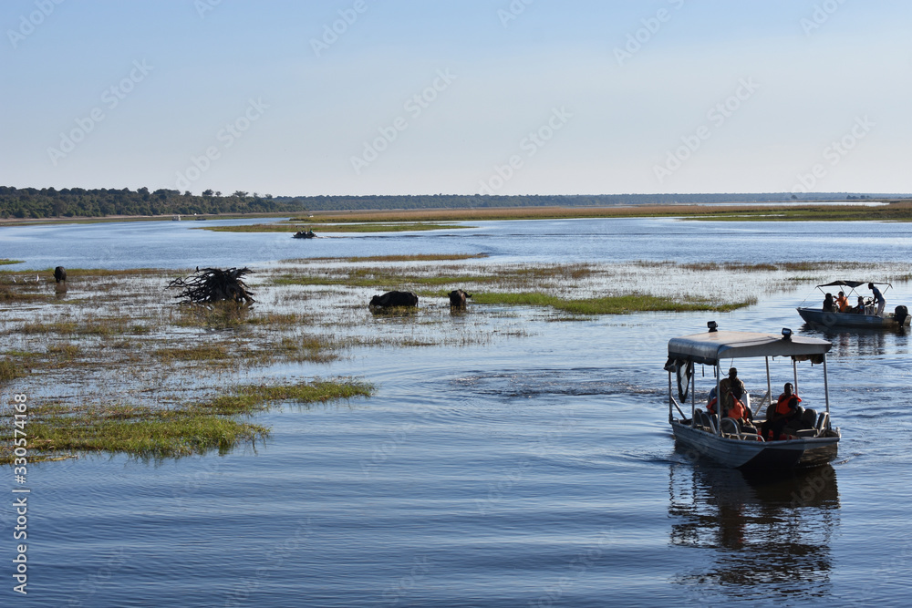 Boat safari in Chobe National Park, Botswana