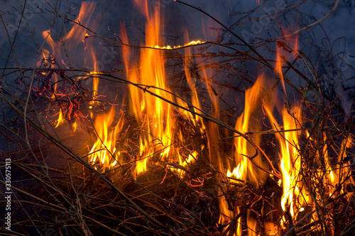 bonfire, bright red flames burning dry grass and branches