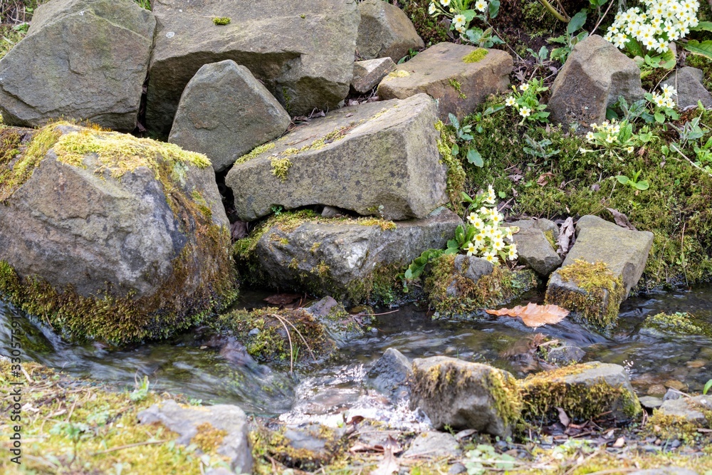 Landscape of stream and rocks Landscape of stream and rocks