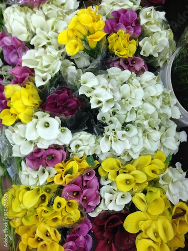 calla lilies at the flower market