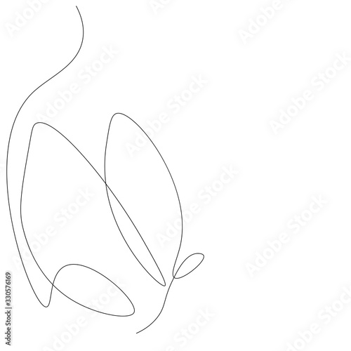 Butterfly animal drawing vector illustration