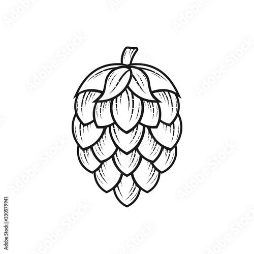 Hop icon isolated on white. Beer hop brewing emblem icon label logo, Vector illustration.