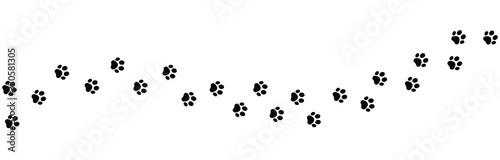 Paw vector foot trail print on white background. foot trail cat or Dog, path pattern animal tracks, isolated on white background photo
