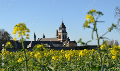 Abbaye de Fontevraud et champ de colza photo
