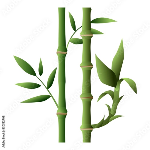 Fototapeta Naklejka Na Ścianę i Meble -  Bamboo plant icon. Cartoon of bamboo plant vector icon for web design isolated on white background