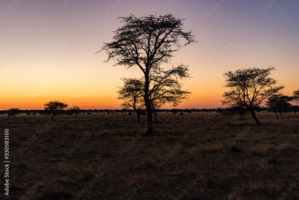 Erindi, Namibia, located southeast of Omaruru. Sunrise over the African wilderness.