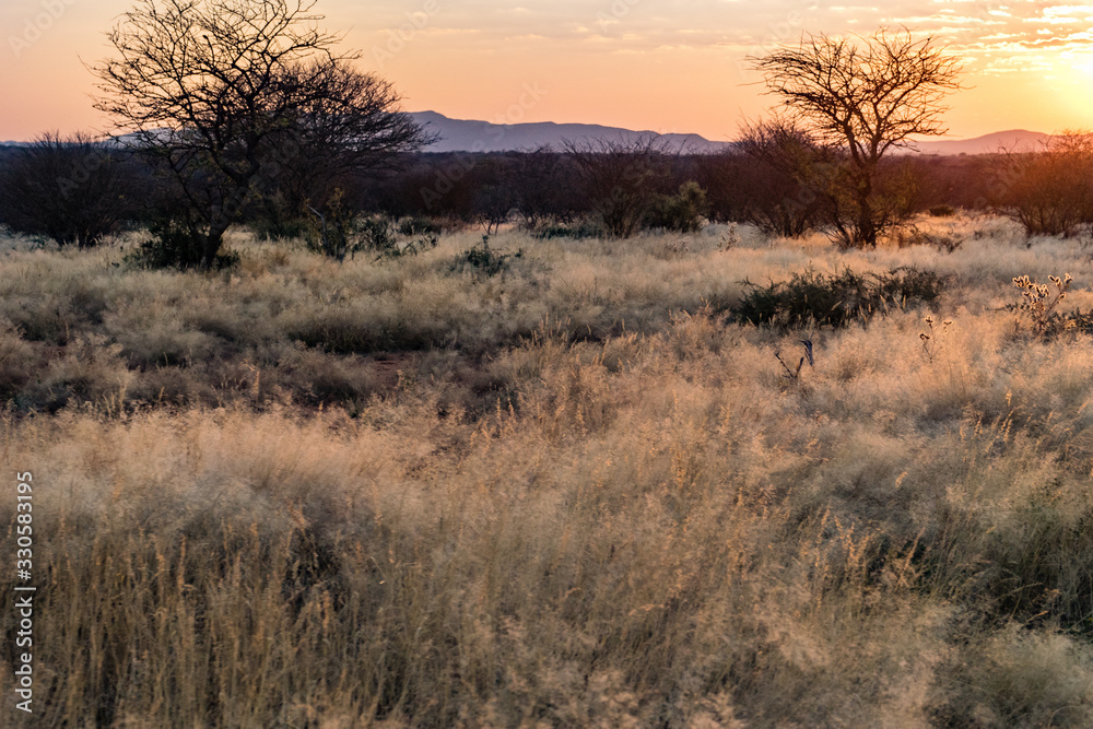 Erindi, Namibia, located southeast of Omaruru. Sunrise over the African wilderness. Erindi, Namibia, located southeast of Omaruru. Sunrise over the African wilderness.