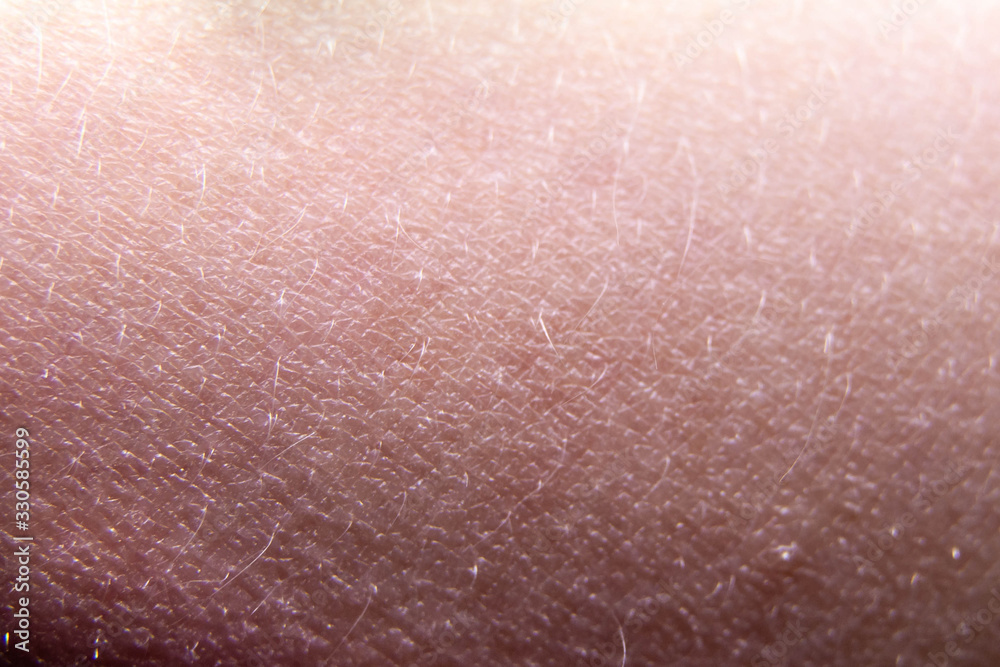 Human skin close-up. Skin relief, hair. Texture. Background. - obrazy, fototapety, plakaty 