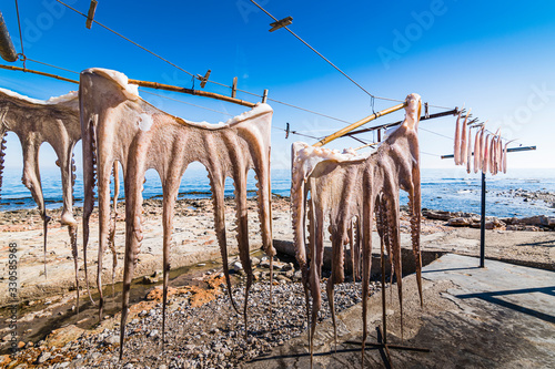 Tableau sur toile Sun-dried octopus, one of the gastronomic delicacies of the Spanish Costa Blanca