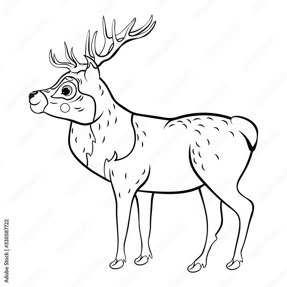 Obraz premium Coloring page outline of cute cartoon deer. Vector image isolated on white background. Coloring book of forest wild animals for kids