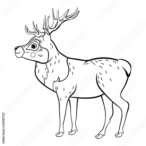Coloring page outline of cute cartoon deer. Vector image isolated on white background. Coloring book of forest wild animals for kids