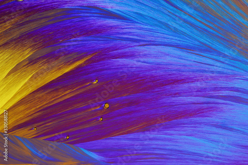 Colorful micro crystals in polarized light. Photo through a microscope.