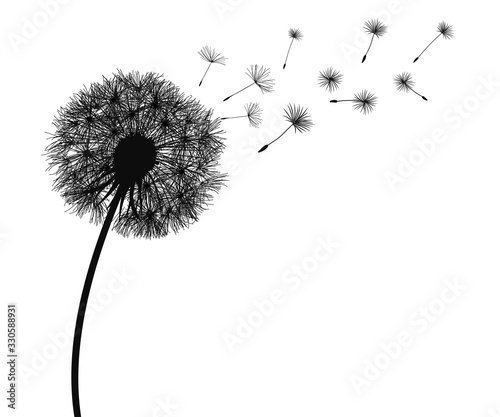 Abstract black dandelion silhouette, flying seeds of dandelion - vector