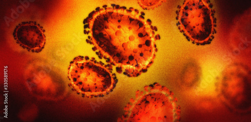 Fotografie Electron microscopy hantavirus visualization