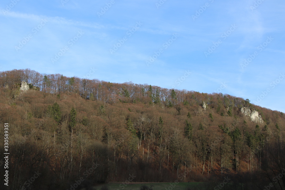 Felsen im oberfränkischen Wald im Frühling Felsen im oberfränkischen Wald im Frühling