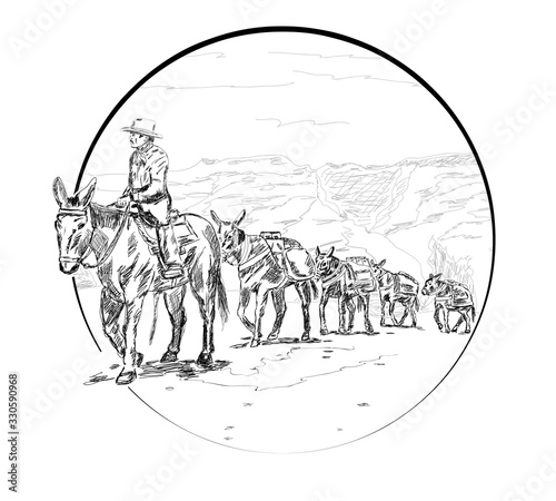caravan with mules