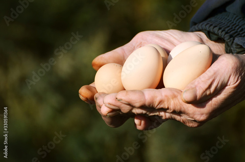 Close-up hands holding eggs,photo