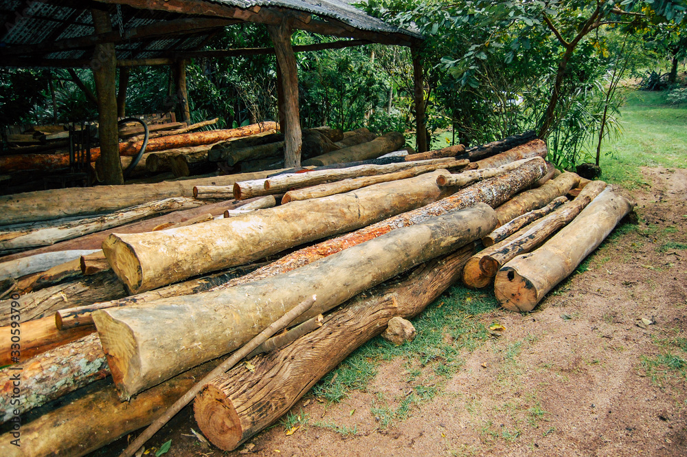 Madeira recolhida por comunidade nativa da região do Tocantins Madeira recolhida por comunidade nativa da região do Tocantins