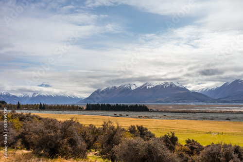 Beautiful view of a meadow with snowy Mount Cook in the background, New Zealand