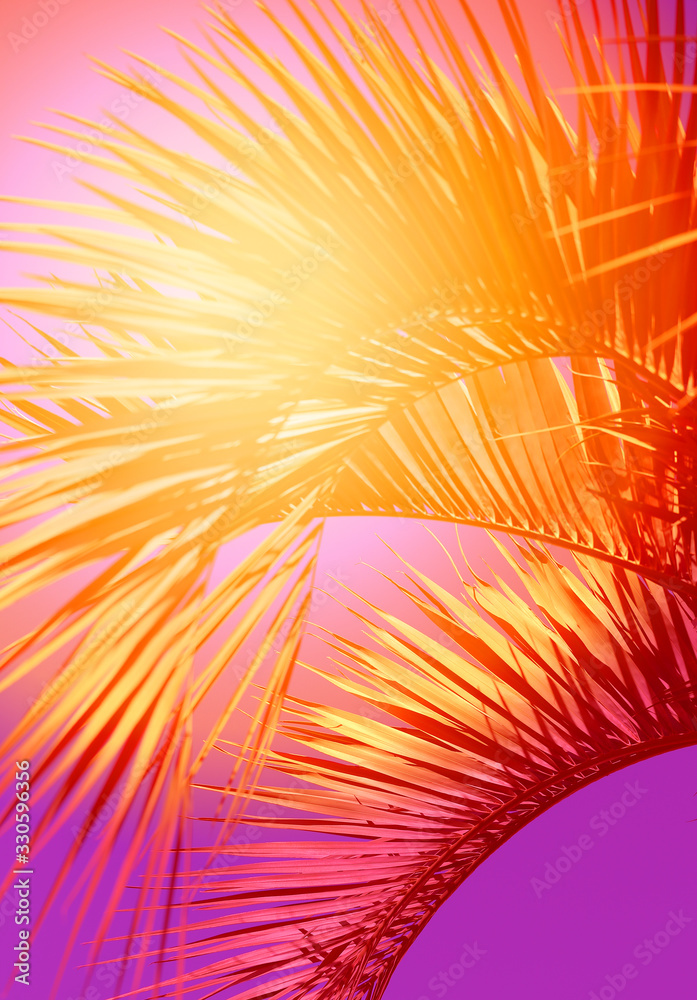 Photo background with beautiful multicolored palm trees Photo background with beautiful multicolored palm trees