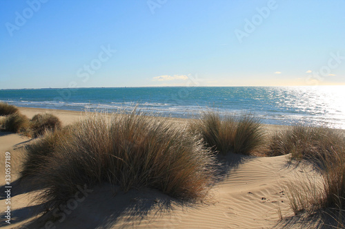Fototapeta Naklejka Na Ścianę i Meble -  Sandy beach in Camargue region, in the South of France