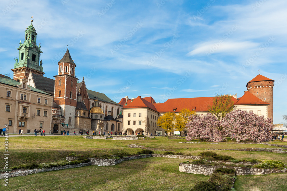 Wawel cathedral with blossom magnolia at spring time, Krakow, Poland