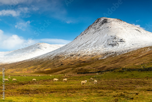 Typical Scottish panorama view, mountains, Highlands, Scotland