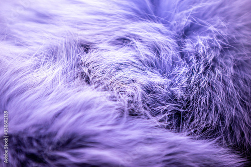 Furry fabric background, copy space colored background