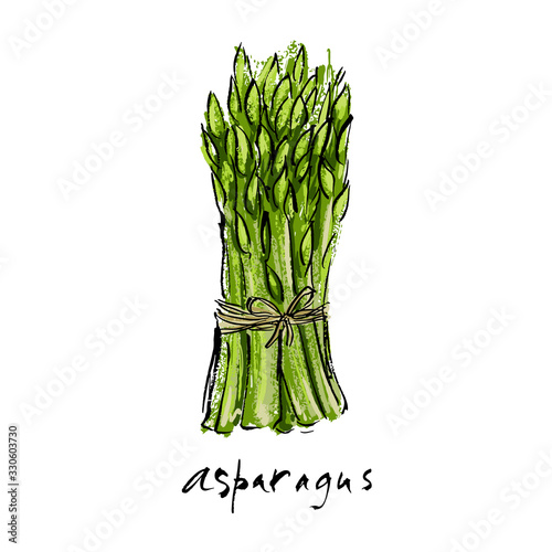 Fresh green asparagus on white background