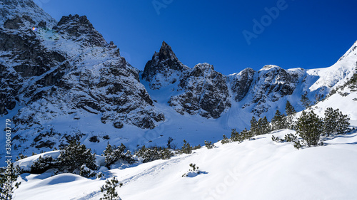 Fototapeta Naklejka Na Ścianę i Meble -  Snowy mountain peaks in the Tatras.