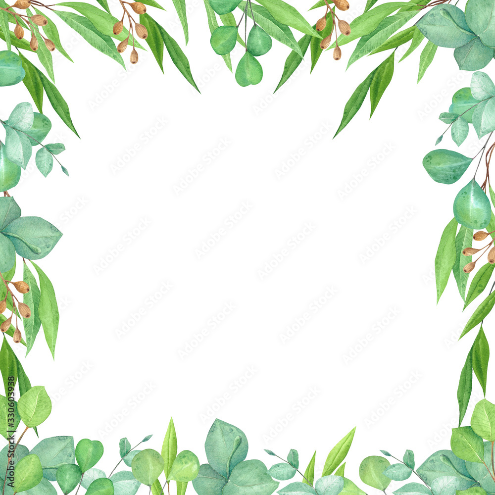 Elegant frame. Hand drawn eucalyptus leaves isolated on white background.