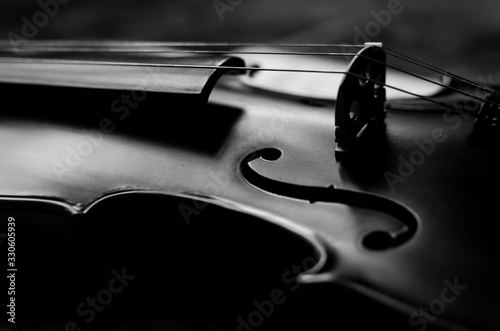 Violin
