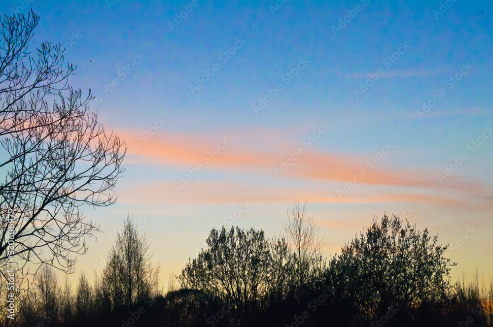 sunset in the field