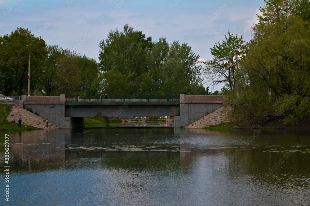 Fototapeta premium bridge over the pond