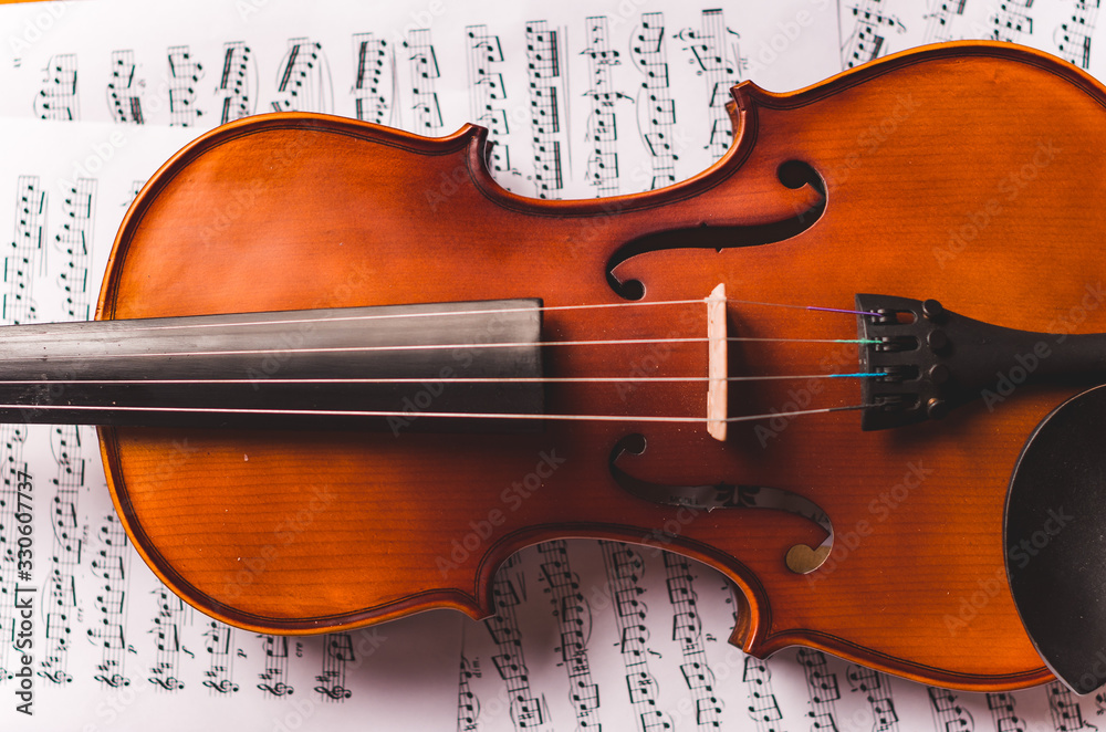Fototapeta premium Violin