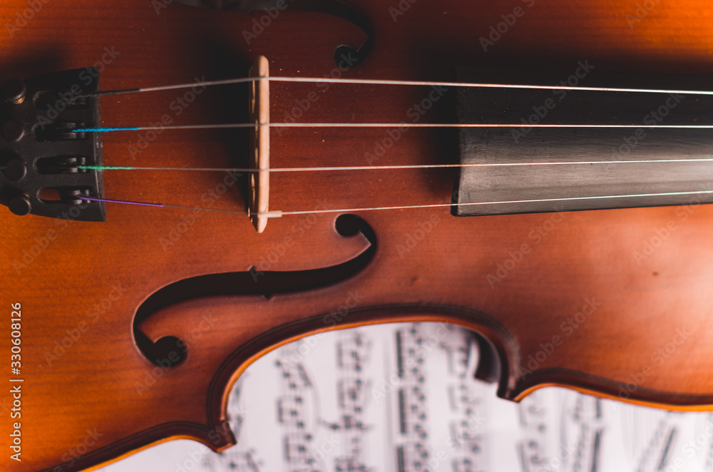 Fototapeta premium Violin