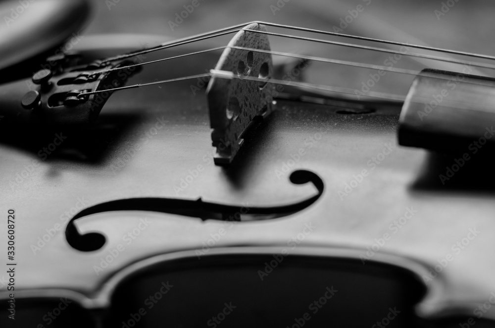 Fototapeta Violin