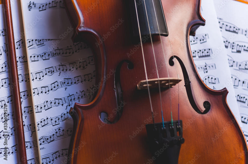 Naklejka premium Violin
