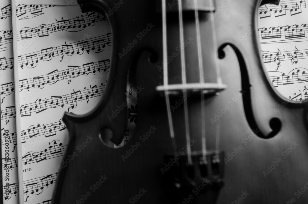 Naklejka premium Violin