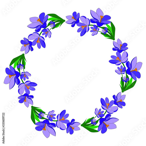 Round frame with pretty flowers crocus. Festive floral circle for your season design. Violet flowers.Vector Illustration.
