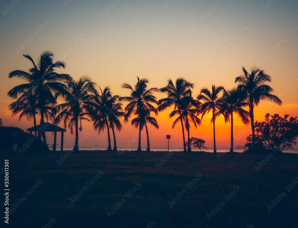 sunset palm beach tree tropical sky sea ocean sun silhouette nature florida miami landscape vernao coconut dusk eden aquatic coast beautiful orange