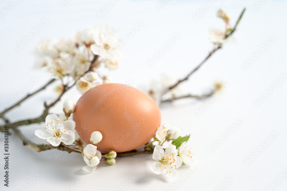 Flowering cherry plum twig (Prunus cerasifera) and a brown Easter egg, greeting card with a white background and copy space