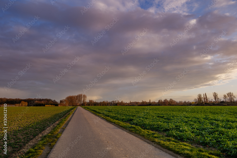 Fototapeta premium Beautiful dramatic orange and blue cloud and sky after storm and rain over agricultural field and road on countryside area in Germany. Phenomenon of sky turn pink. Nimbostratus cloud during sunset. 